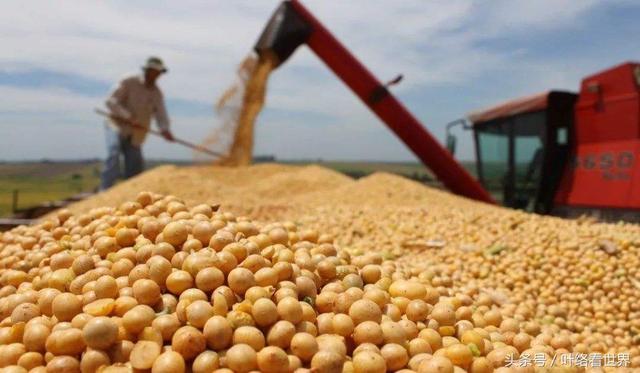 美國(guó)大豆出口大會(huì)閉幕，中國(guó)買家一顆沒買